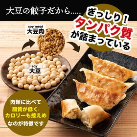 【60個入り】大豆パワーソイプロギョーザ（30個入り×2袋）大豆と野菜がしっかり！植物性餃子♪