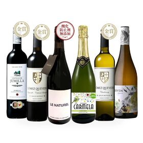 【750ml×6本】酸化防止剤無添加ワイン入り すべてオーガニック 赤・白・泡・ワインセット