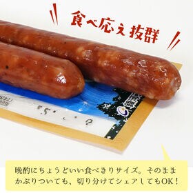 【計約130g/2本入×5パック】上級 銀河のサラミ