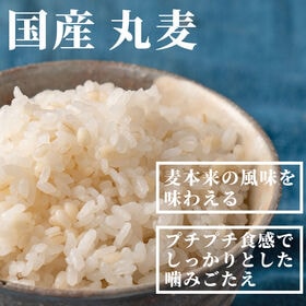 【2.7kg(450g×6袋)】国産丸麦 (雑穀米・チャック...