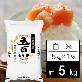 【5kg】令和5年産 千葉県産 五百川白米 | 千葉県から本格派の美味しいお米