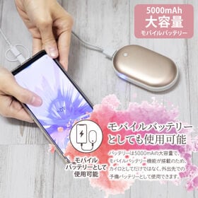 【ゴールド】充電カイロ ポケホット＜PSE認証済み＞