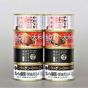 【計8缶/4種×各2缶】宮城 「木の屋石巻水産」 バラエティ缶詰セット