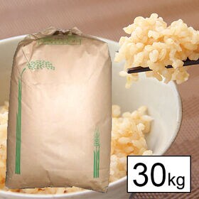 【30kg】新米 令和5年産 千葉県産 ふさおとめ 1等玄米 | 千葉県の人気銘柄！今年も、ふさおとめは元気に育ちました。