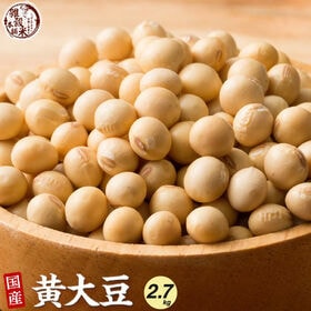 【2.7kg(450g×6袋)】国産 黄大豆