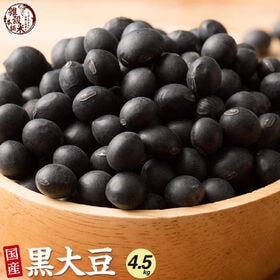【4.5kg(450g×10袋)】国産 黒大豆