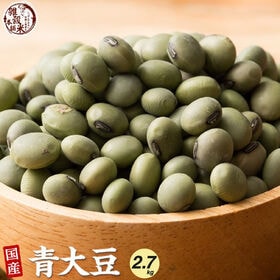 【2.7kg(450g×6袋)】国産 青大豆