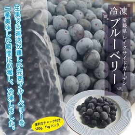 【500g×2袋】冷凍ブルーベリー＜宇和島市・レイクサイドガーデン産＞ | 生果では運送が難しい完熟ブルーベリーを、一番美味しい瞬間に収穫しています。