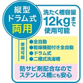塩素系洗たく槽クリーナー 750g ×2点セット
