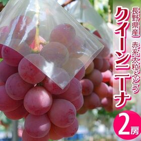 【約1kg/2房】赤系大粒ぶどう『クイーンニーナ』長野県産 | とても風味が良く、味わいに優れる葡萄です。