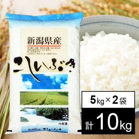 【計10kg/5kgx2袋】令和5年産 越後の米 新潟県産 こしいぶき 白米 | 人気の新潟米です。