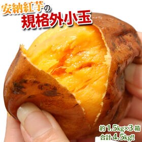 【4.5kg(約1.5kg×3箱】鹿児島県『安納紅芋』規格外小玉 | 長期熟成をして甘さが大幅にUP