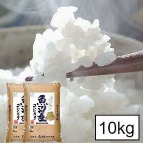 【10kg(5kg×2)】新潟県 魚沼産 コシヒカリ令和5年産 | お米の一粒一粒がもつ旨み・粘り・色・艶が特徴の魚沼米です