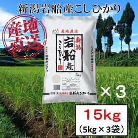 【15kg】新潟県岩船産 コシヒカリ 令和5年産