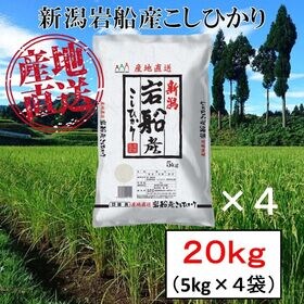 【20kg】新潟県岩船産 コシヒカリ 令和5年産