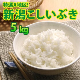 【5kg×1袋】令和5年産  大人気 新潟県上越産こしいぶき | 上越地方限定食味ランクA評価