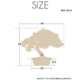 光触媒 人工盆栽 アレンジ盆栽 富士の松