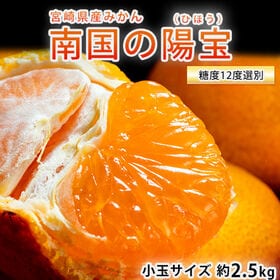 【約2.5kg/糖度12度以上選別 】宮崎県産 南国の陽宝（ひほう）みかん 小玉サイズ