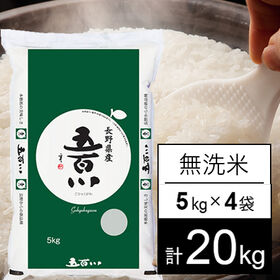 【計20kg/5kgx4袋】令和5年産 長野県伊那産 五百川 無洗米 | 猛暑で豊作・よい出来となっております。