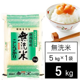 【5kg】令和5年産 越後の米 新潟県産 コシヒカリ 無洗米 | 変らず旨いが、ちょっと白いです