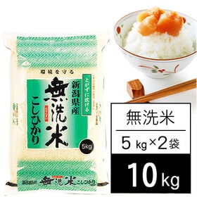 【計10kg/5kgx2袋】令和5年産 越後の米 新潟県産 コシヒカリ 無洗米 | 変らず旨いが、ちょっと白いです