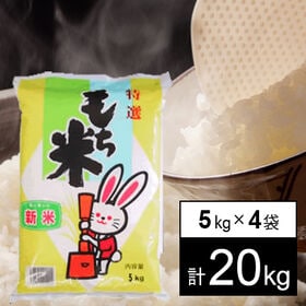 【計20kg/5kgx4袋】 令和5年産 もち米 山形県産 ヒメノモチ 白米 | 山形県のおいしいもち米の代表品種。おこわ・お団子・お餅・お供え・おはぎになります。