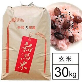 【30kg】令和5年産 もち米 新潟県産 こがねもち 2等玄米 | 例年より少し元気ないですがよろしくお願いします。