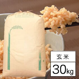 【30kg】 令和5年産 山梨県産 ミルキークイーン 2等玄米 | 自然豊かなやまなしのミルキークイーンです