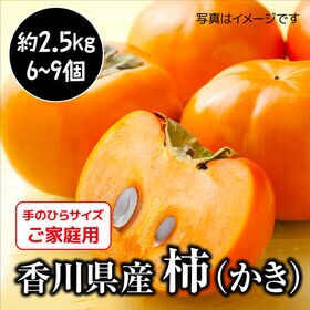 【約2.5kg】香川県柿（ご家庭・不揃い）2箱同時申込で2kgおまけ | 毎年大人気の香川県産 千疋の富有柿！食べごたえのある食感と甘さ♪