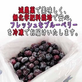 【1kg】福島県産ブルーベリー 減農薬・無化学肥料栽培・大粒【冷凍】