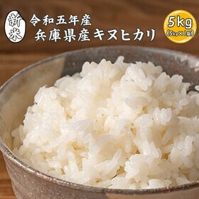 令和5年産【5kg】兵庫県産 キヌヒカリ (精白米) | あっさりとした口当たりで和食と相性抜群！炊きあがりはつやつやでシルクのような輝き♪