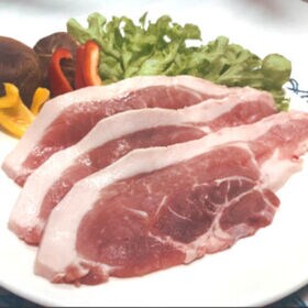 【計1kg/500g×2パック】静岡県産 幻の赤豚デュロック種 焼肉用もも肉スライス | オレイン酸多くてヘルシー！希少な幻の豚 / まろやかな風味の霜降り豚