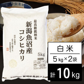 【計10kg/5kg×2袋】令和5年産 新潟県魚沼産コシヒカリ JA十日町 白米 | JA十日町で栽培指導、検査された確かなお米。2等以上品質限定