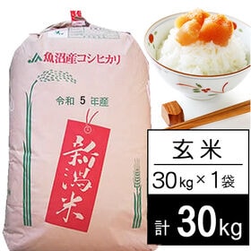 【30kg】令和5年産 新潟県魚沼産コシヒカリ JA十日町 2等玄米 | JA十日町で栽培指導、検査された確かなお米。2等以上品質限定