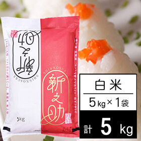 【5kg】令和5年産 新潟県中越産 新之助 白米 | きらめく大粒、コクと甘み