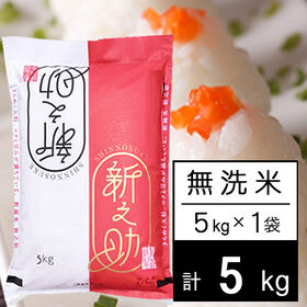 【5kg】令和5年産 新潟県中越産 新之助 無洗米 | きらめく大粒、コクと甘み