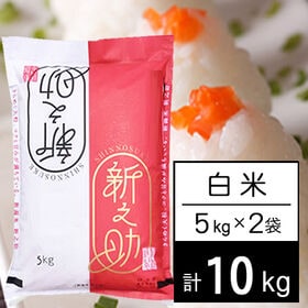 【計10kg/5kg×2袋】令和5年産 新潟県中越産 新之助 白米 | きらめく大粒、コクと甘み