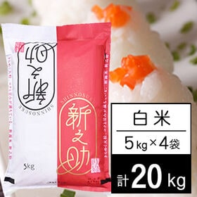 【計20kg/5kg×4袋】令和5年産 新潟県中越産 新之助 白米 | きらめく大粒、コクと甘み