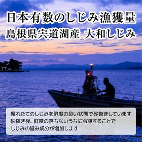 【約1.5kg(300g×5袋)Mサイズ】島根県宍道湖産ヤマトシジミ