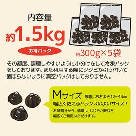 【約1.5kg(300g×5袋)Mサイズ】島根県宍道湖産ヤマトシジミ