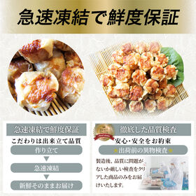 【50個/750g】肉焼売 レンジで簡単（750g×1袋）