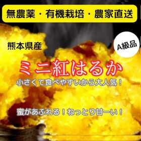 【約10kg】熊本県産 ミニ紅はるか (有機栽培 / JAS認証 / 無農薬 / オーガニック) | 食べやすくて大人気！ミニサイズ紅はるか / ねっとり甘ーい / 糖度50度以上
