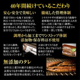 【3本(蒲焼・白焼・塩)】高知県産 高級うなぎ3種食べ比べ! 贅沢な絶品うなぎの豪華セット