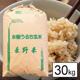 【30kg】令和5年産 長野県伊那産 五百川 1等玄米 | 猛暑で豊作・出来よし