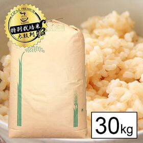 【30kg】令和5年産 特別栽培米 山梨県産 五百川 1等玄米 | 評価の非常に高い旨いお米