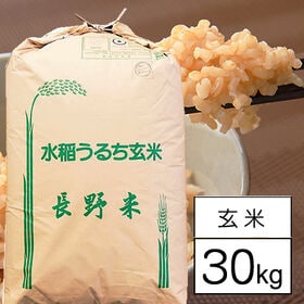 【30kg】令和5年産 特別栽培米 長野県南信州産 コシヒカリ 1等玄米 | 長野県南信 上伊那の美味しい米