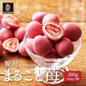 【300g】贅沢まるごと苺 | 甘酸っぱイチゴをまるごと贅沢に使用！濃厚なチョコと合わせて夢の一時を！