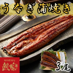 【計3尾】「鰻楽」九州産うなぎ蒲焼 | 身の柔らかな旨みのあるうなぎだけを贅沢に使用