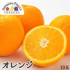 【アメリカ/オーストラリア】10玉　オレンジ