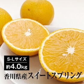 【約4.0kg(S-L)】香川県産 スイートスプリング 柑橘...